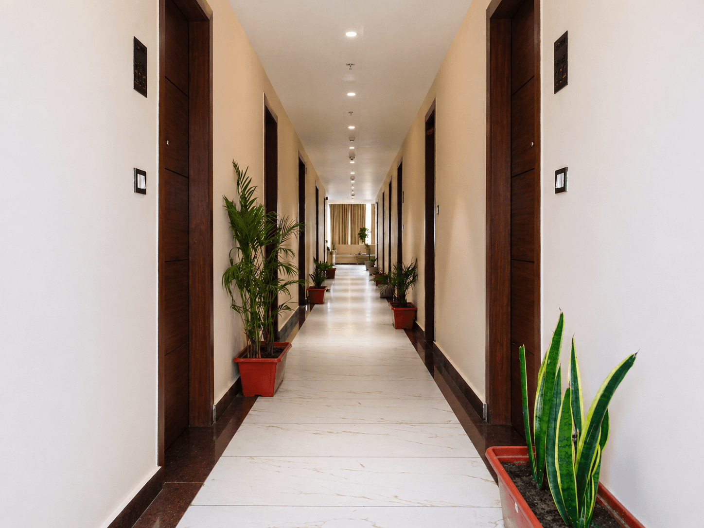 Brightly lit hallway featuring white tiled floors, dark wood doors, and potted green plants.